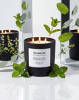 Daybreak - 3-Wick Candle