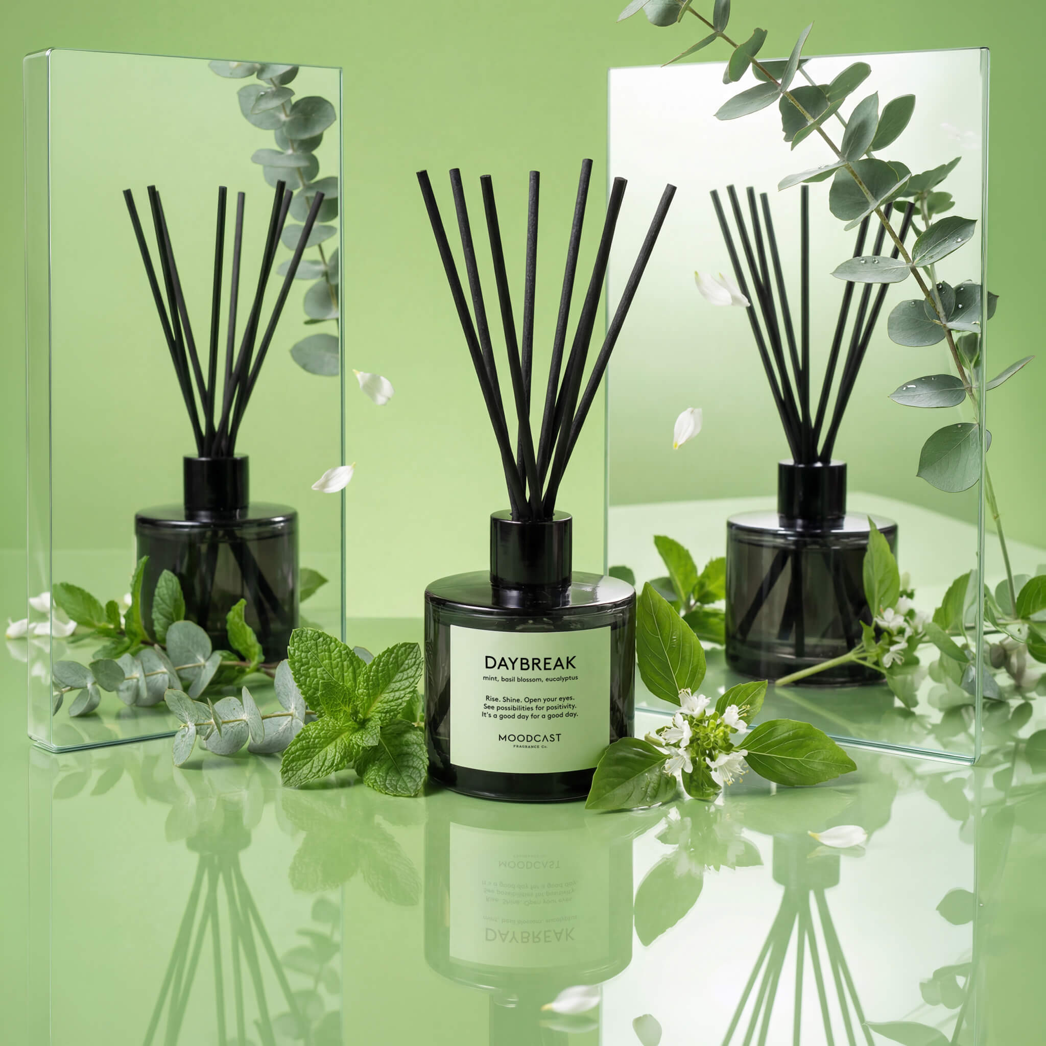 Daybreak | Black & White Diffuser – Moodcast Fragrance Co.