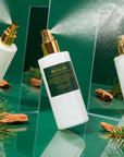 Reveler - Room & Linen Spray